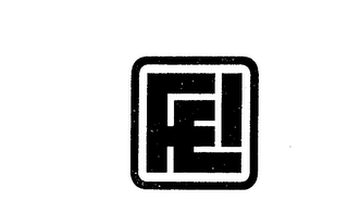 FEI trademark