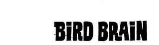 BIRD BRAIN trademark