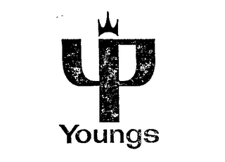 YP YOUNGS