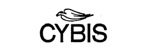 CYBIS