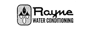 RAYNE WATER CONDITIONING