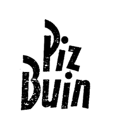 PIZ BUIN trademark