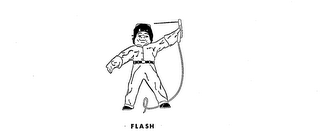 FLASH trademark