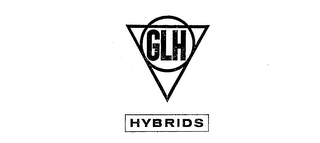 GLH HYBRIDS