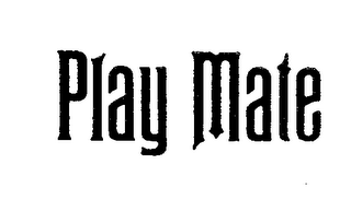 PLAY MATE