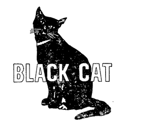 BLACK CAT