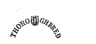THOROUGHBRED trademark