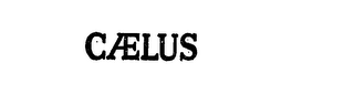 CAELUS