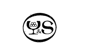 Y & S trademark