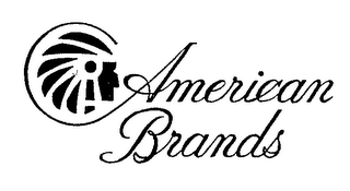 AMERICAN BRANDS