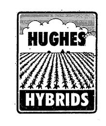HUGHES HYBRIDS trademark