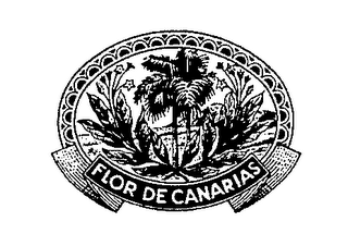 FLOR DE CANARIAS