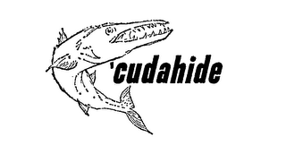 'CUDAHIDE