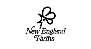 NEW ENGLAND FARMS