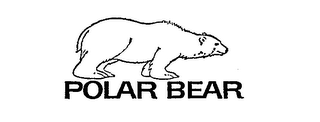 POLAR BEAR