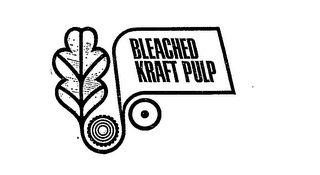 BLEACHED KRAFT PULP