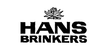 HANS BRINKERS