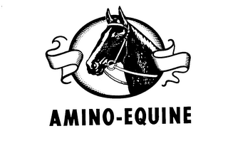AMINO-EQUINE trademark