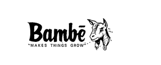 BAMBE "MAKES THINGS GROW"