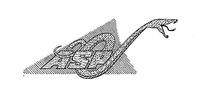 ASP trademark