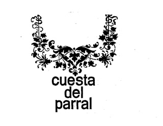 CUESTA DEL PARRAL