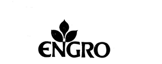 ENGRO