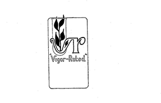 "VIGOR-RATED" VR 