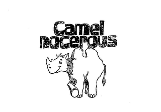 CAMEL NOCEROUS 