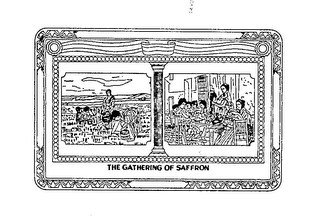 THE GATHERING OF SAFFRON