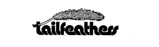 TAIL FEATHERS trademark