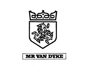 MR VAN DYKE