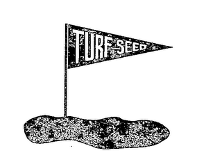 TURF SEED