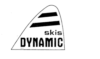 SKIS DYNAMIC