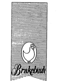 BRAKEBUSH trademark