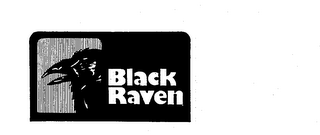 BLACK RAVEN