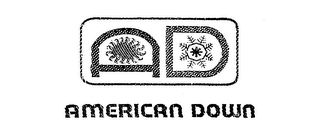 AMERICAN DOWN AD