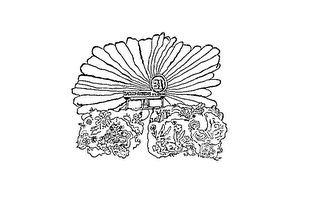 BASKIN-ROBBINS ICE CREAM 31