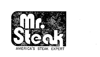 MR. STEAK AMERICA'S STEAK EXPERT