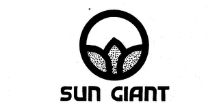 SUN GIANT