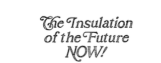 THE INSULATION OF THE FUTURE NOW!