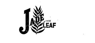 JADE WIDE LEAF