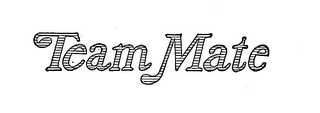 TEAM MATE trademark