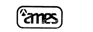 AMES trademark