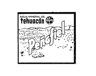 AGUA MINERAL DE TEHUACAN CON GAS PENAFIEL trademark