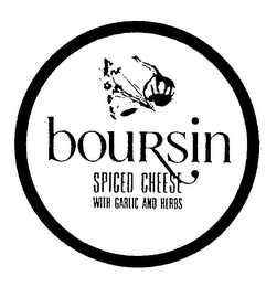 BOURSIN SPICED CHEESE WITH GARLIC AND HERBS