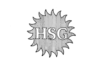 HSG