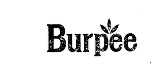 BURPEE