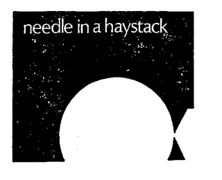 NEEDLE IN A HAYSTACK