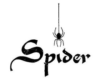 SPIDER