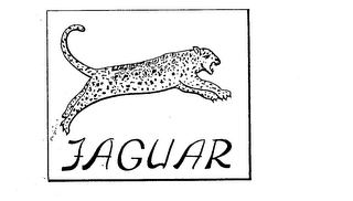 JAGUAR trademark
